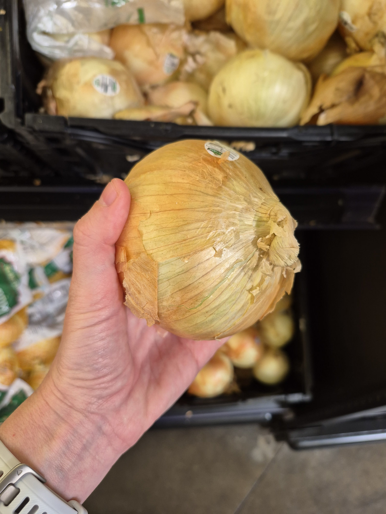 huge onion at walmart