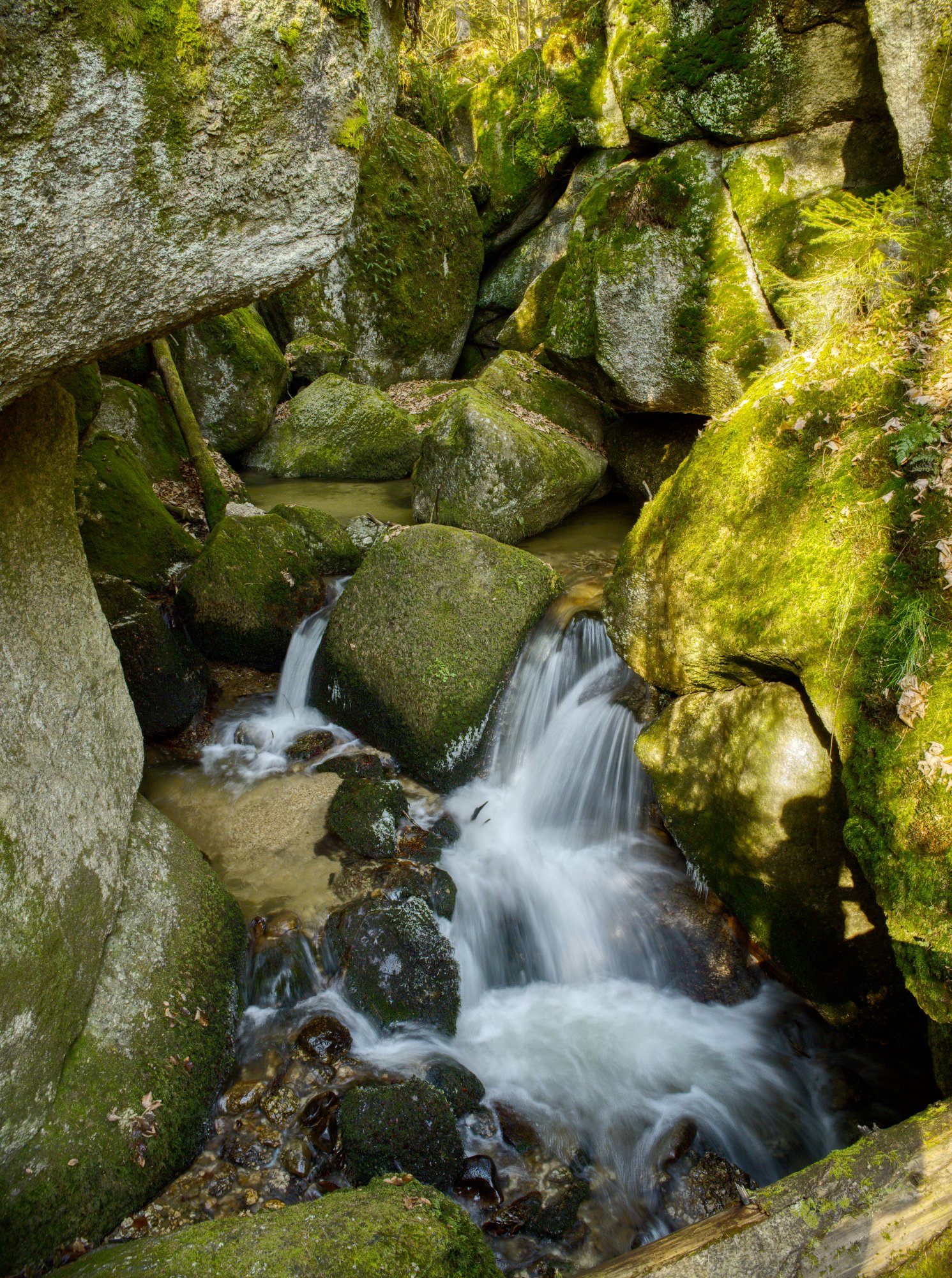 wolfsschlucht01_0000